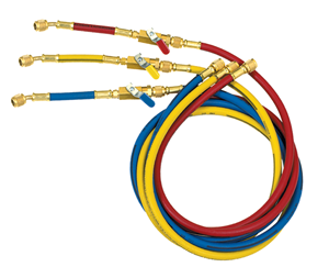 5 ft Hose Set w/Low Loss Ball Valve Shut-off